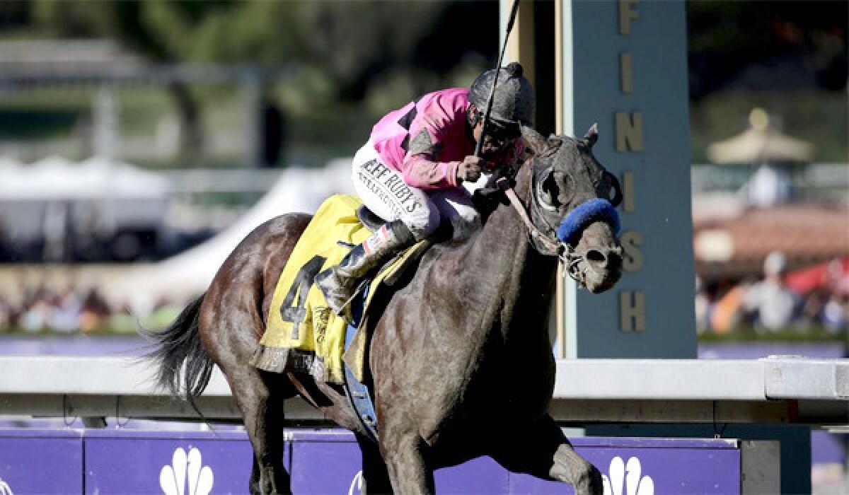 New Year's Day, trained by Bob Baffert, sprints to victory at the Breeders' Cup in the Juvenile race at Santa Anita Park on Saturday.