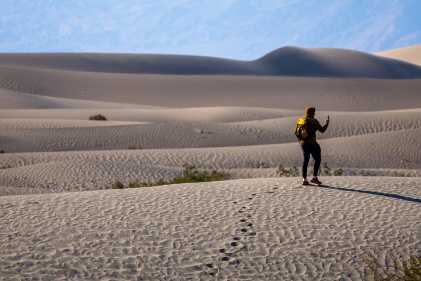 Death Valley National Park, CA - July 08: A man hikes out onto the Mesquite Flat Sand Dunes in Death Valley National Park where temperatures were as high as 125 degrees on Monday, July 8, 2024 in Death Valley National Park, CA. (Brian van der Brug / Los Angeles Times)