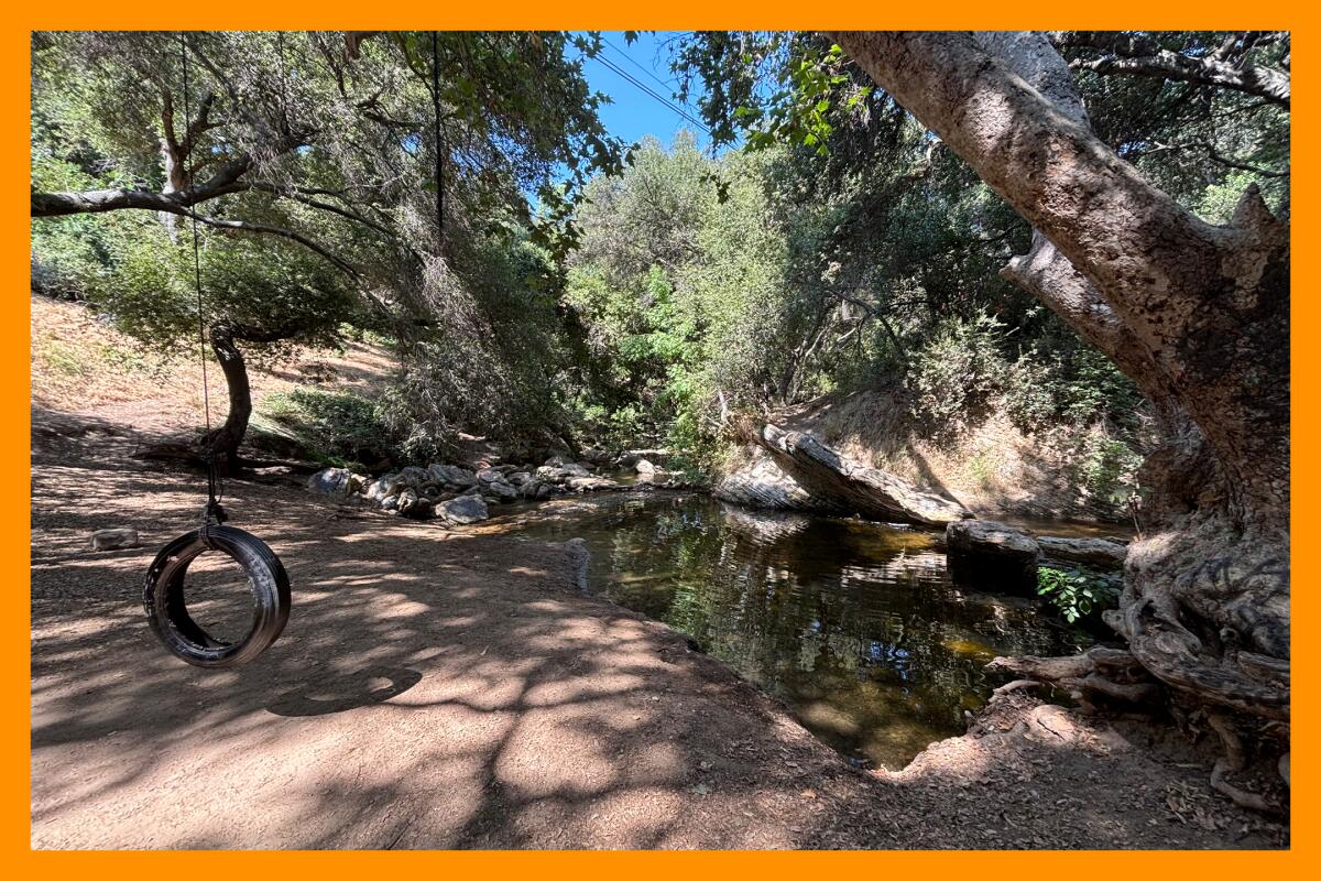 A tire swing hangs from a tree next to a small body of water near the Antonovich Trail.