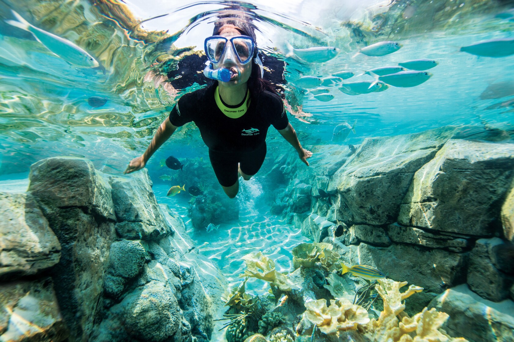 Discovery Cove Brings Different Feel Than Theme Park Brethren
