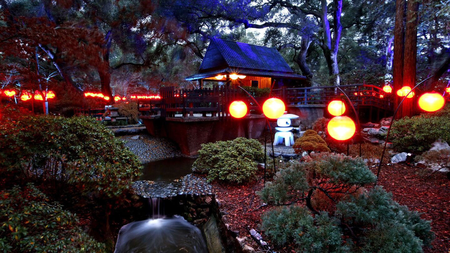 Descanso Gardens at Christmastime.