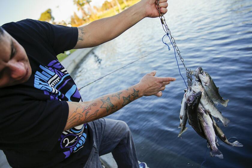 A fisherman shows off his day's catch from Belvedere Park Lake in East Los Angeles.