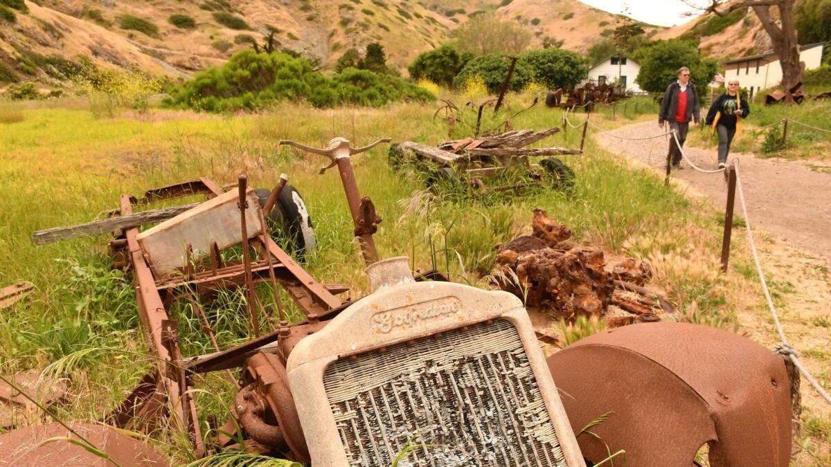 Old ranch equipment (including a tractor radiator) lines a path at Scorpion Ranch on Santa Cruz Island, Channel Islands National Park.