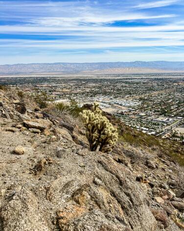A view of the South Carl Lykken Trail.