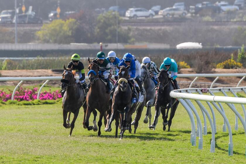 The horses round the first turn on Del Mar's turf course at a previous season race.