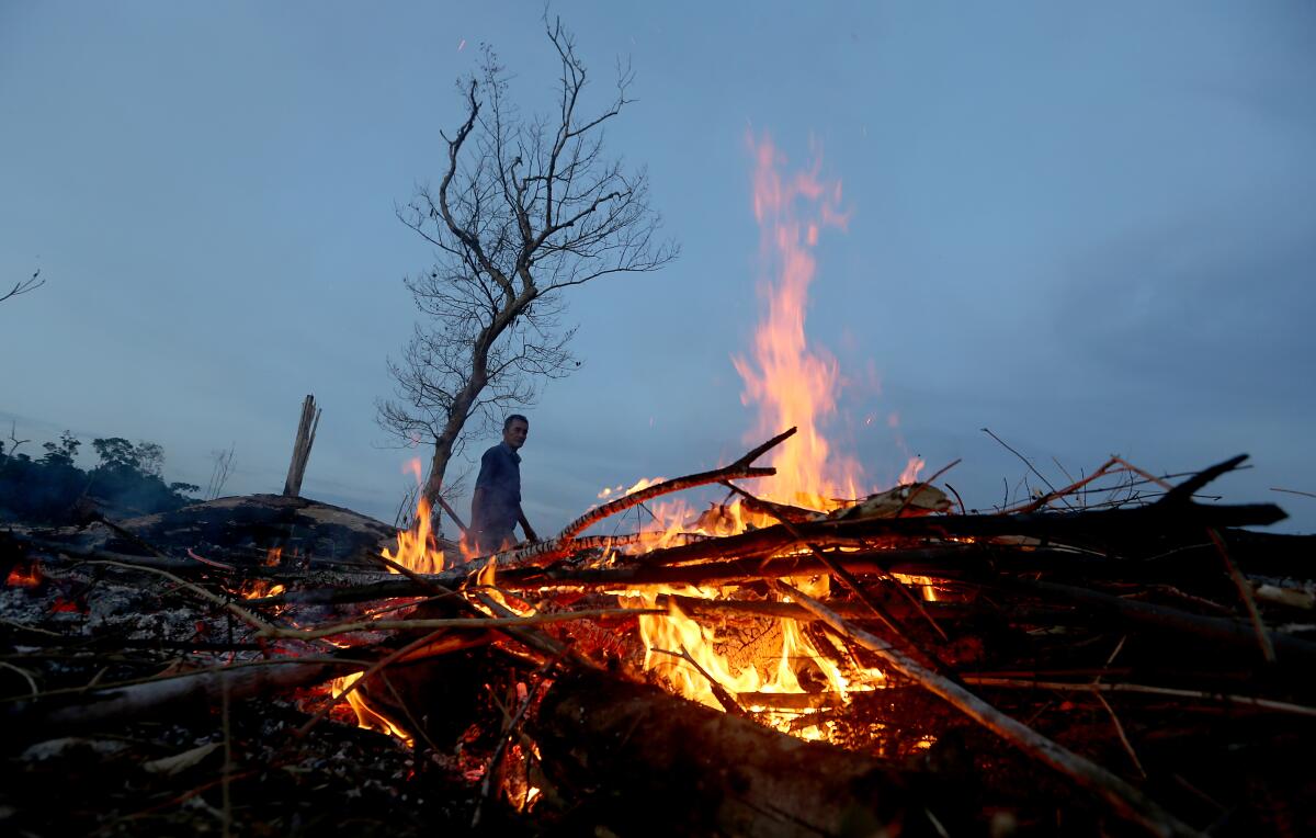 A man burns a pile of vegetation