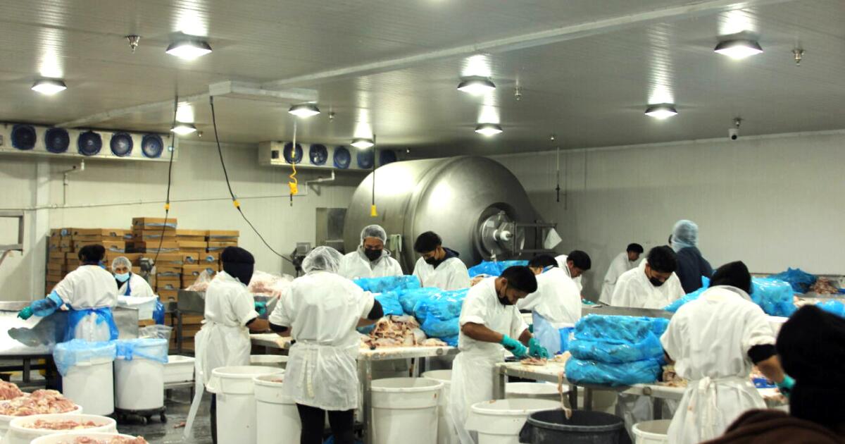 Meat processing plant fined nearly $400,000 over child labor violations