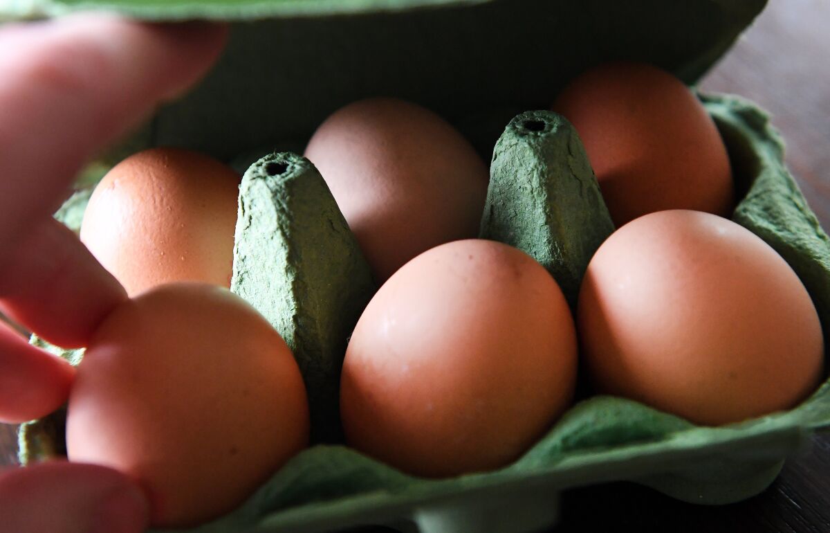 enfocar Joseph Banks abolir Baja el precio de los huevos después de un aumento anual de 60 % - San  Diego Union-Tribune en Español