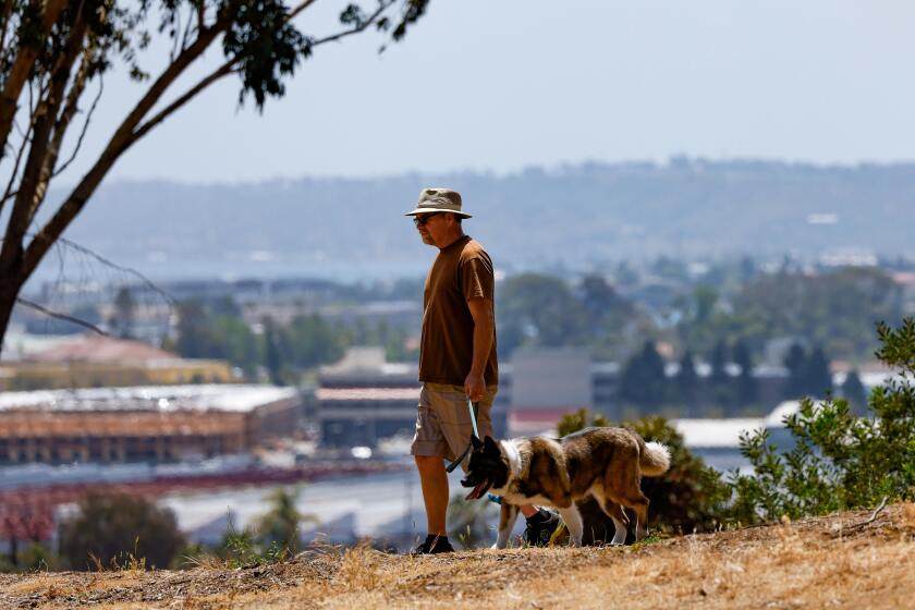 San Diego, CA - May 09: Bill Wundrow, of San Diego, walks his pup Daisy at Presidio Park on Thursday, May 9, 2024 in San Diego, CA. (Meg McLaughlin / The San Diego Union-Tribune)