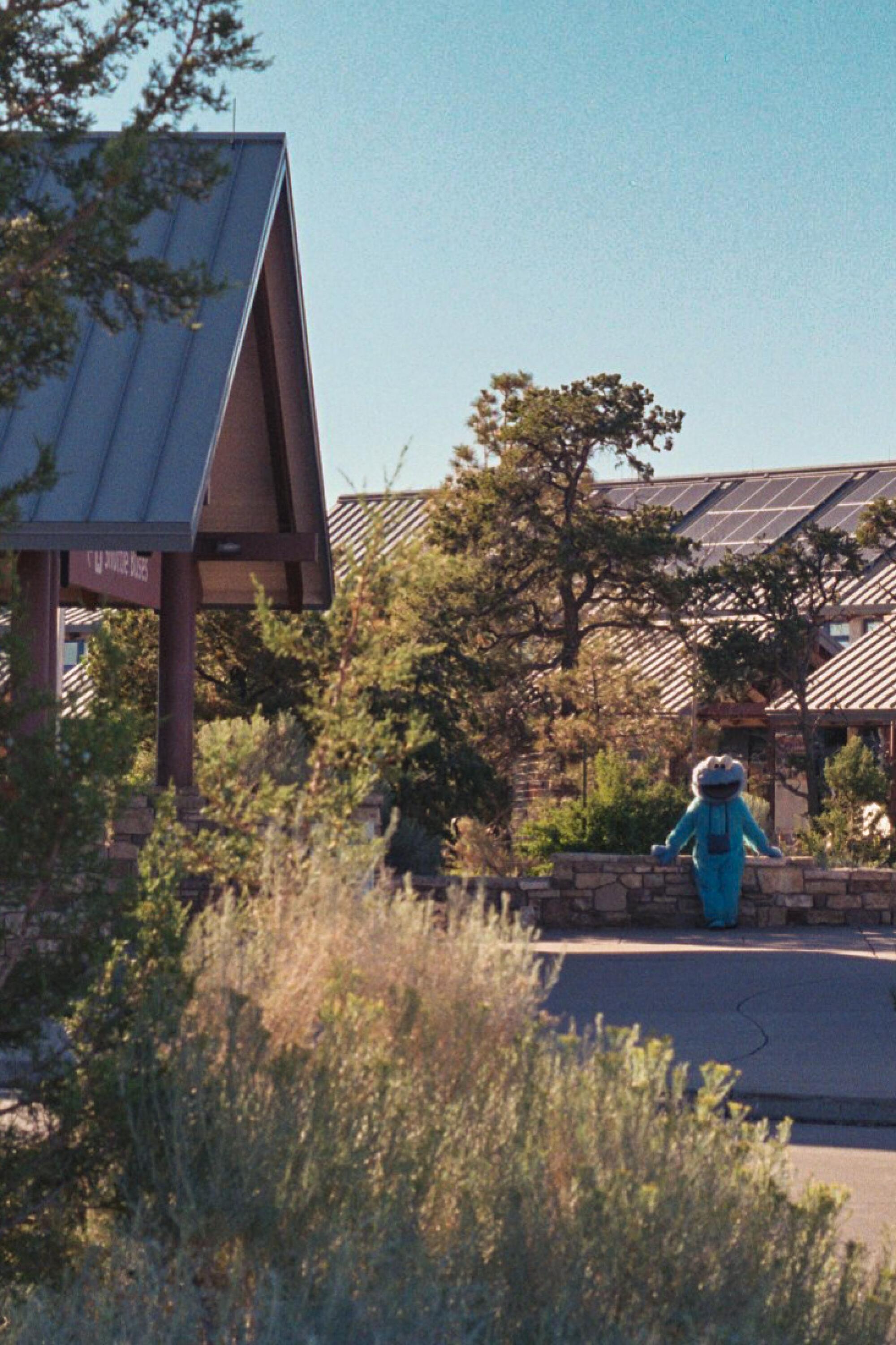 A lone Cookie Monster sitting outside of the Grand Canyon Visitor Center.