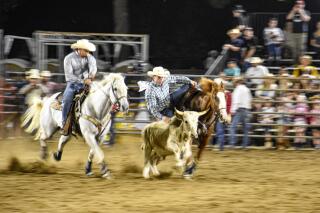 California poised to buck rodeos, another foray in the culture wars ...