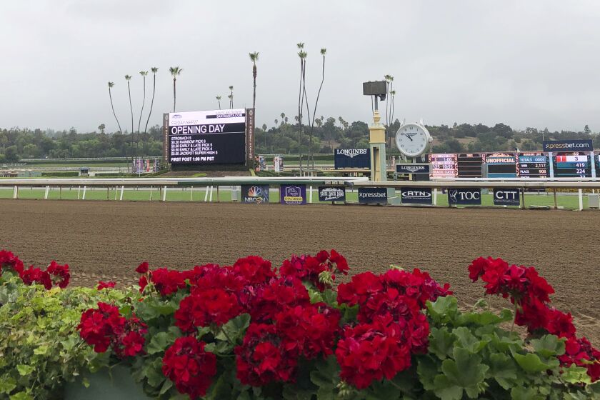 Flowers frame a new infield video board and the finish line at Santa Anita Park on Sept. 27, 2019.