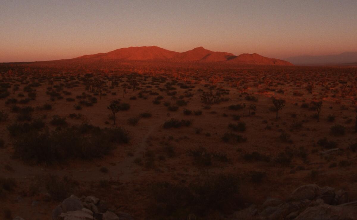 Light from a low sun bathes a desert landscape in red.