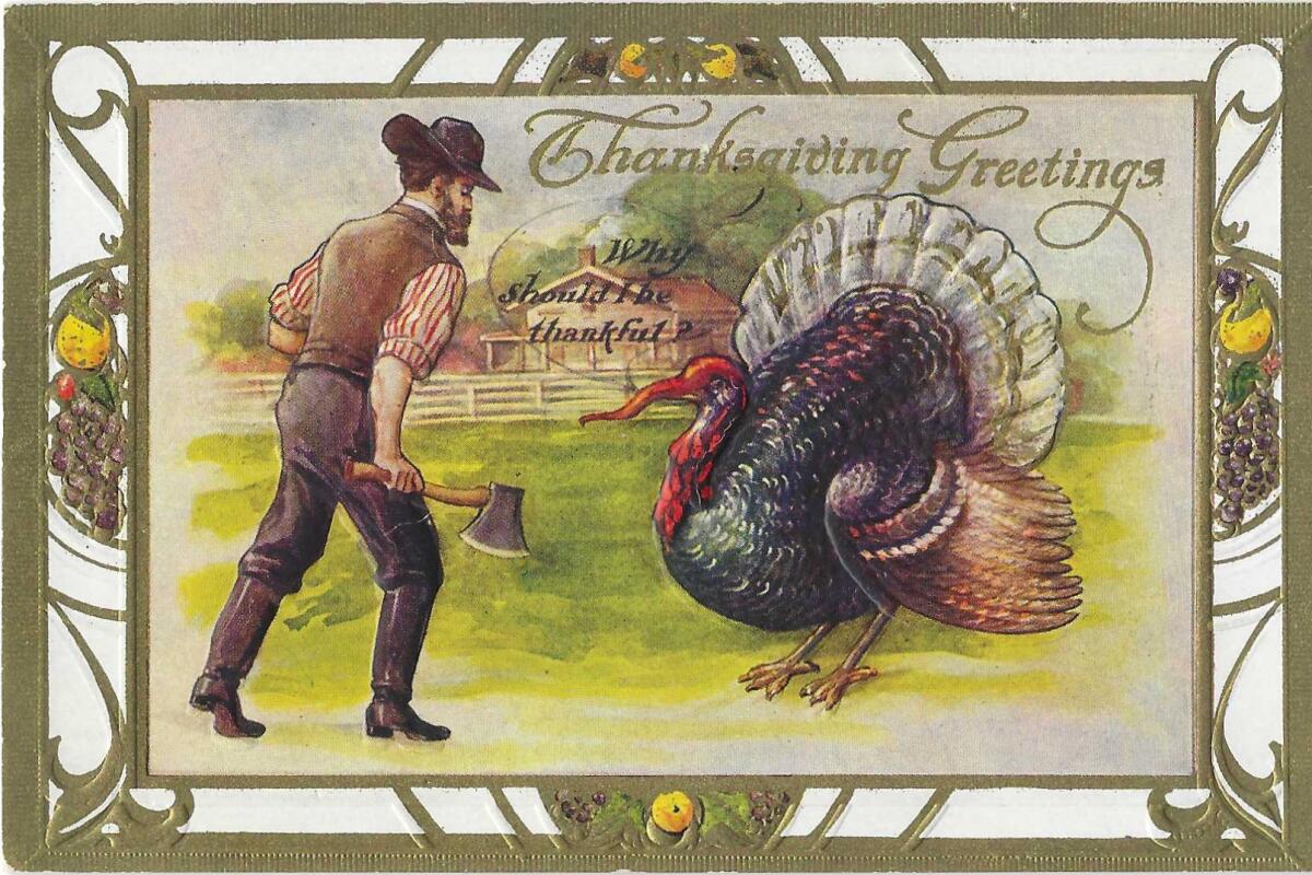 "Thanksgiving Greetings." Vintage postcard shows a man with a hatchet approaching a very large turkey. 