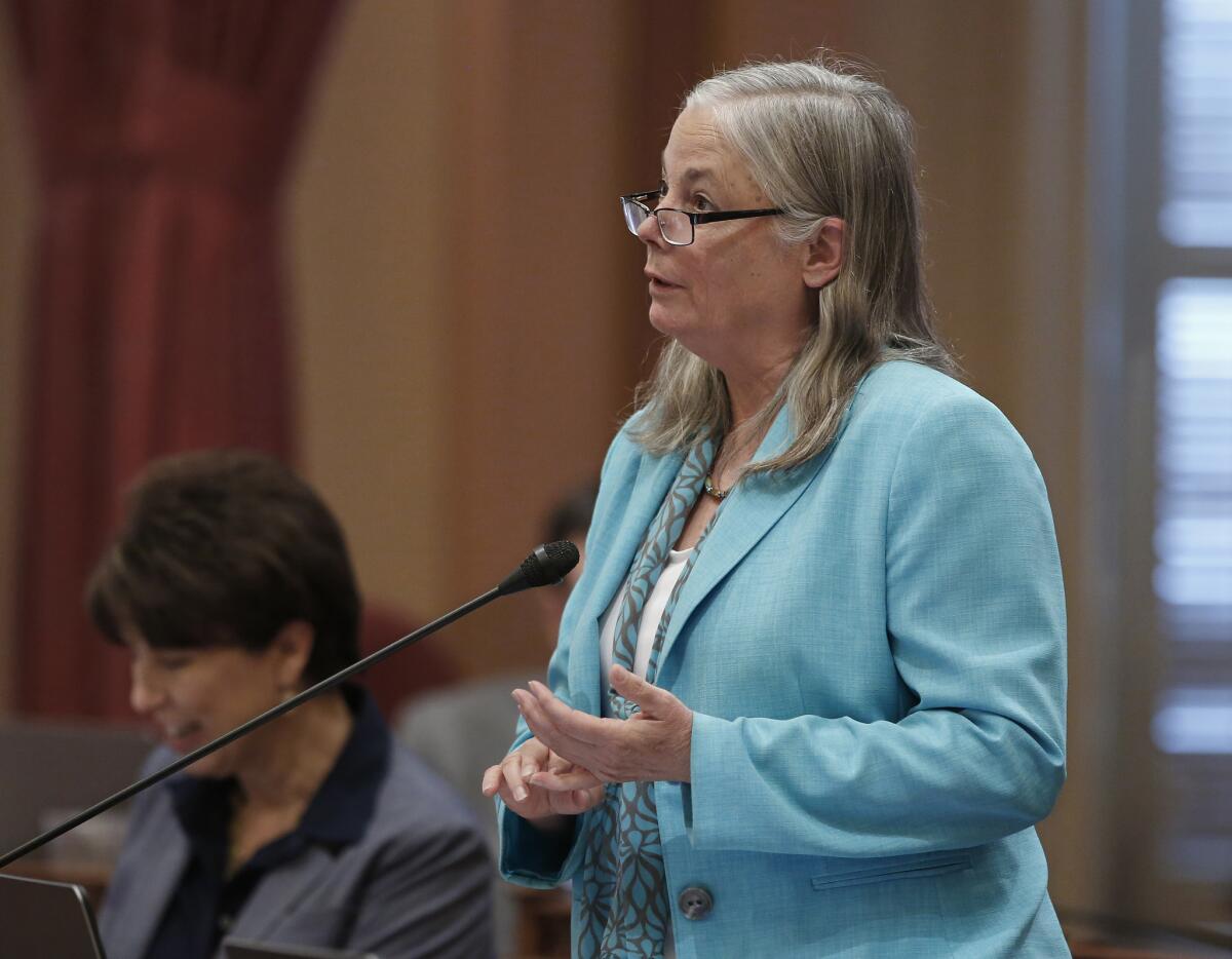 State Sen. Fran Pavley (D-Agoura Hills) authored one of the major climate measures this year.