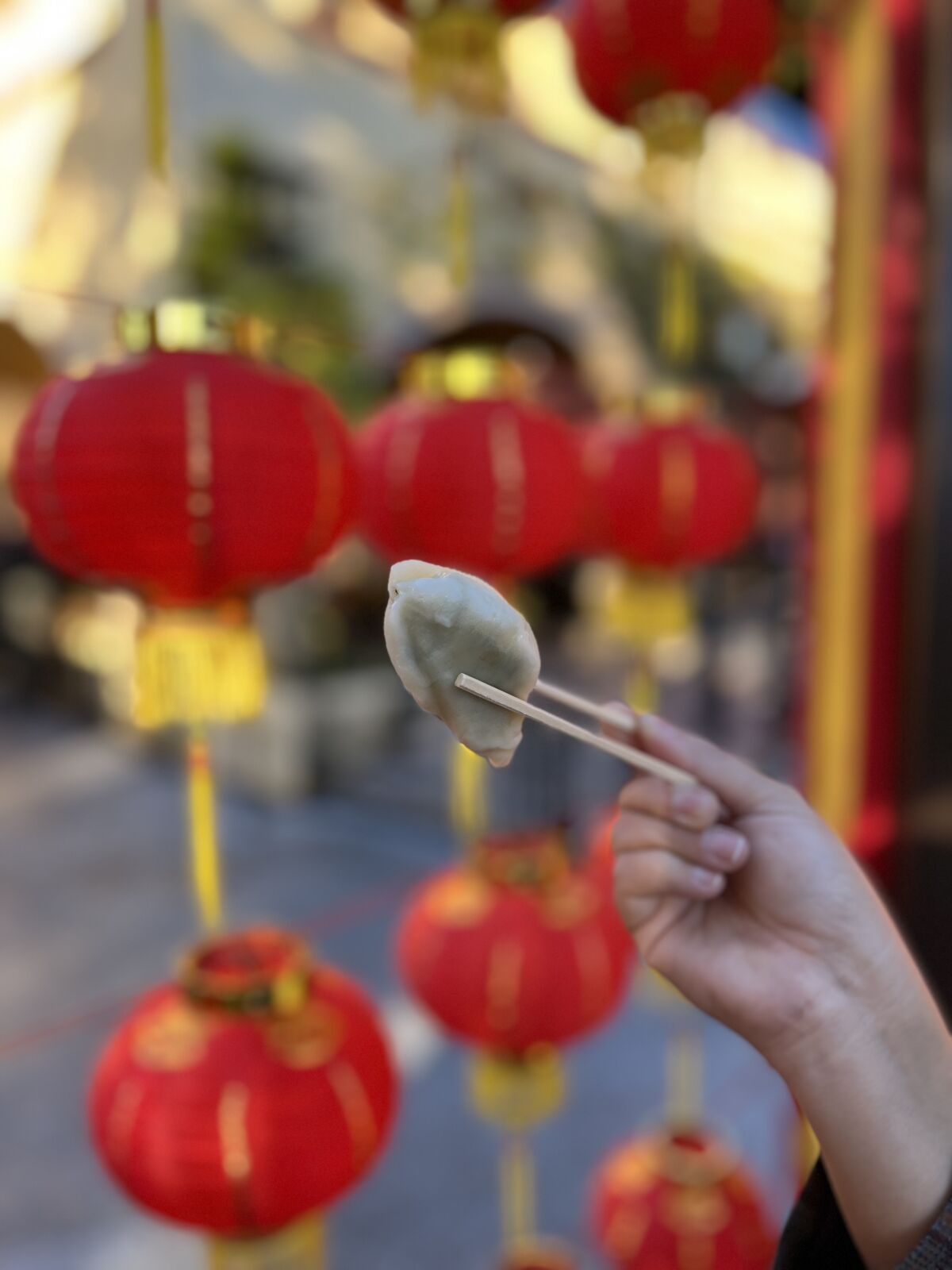 Bok choy and mushroom dumplings in California Adventure’s Festival Marketplace.