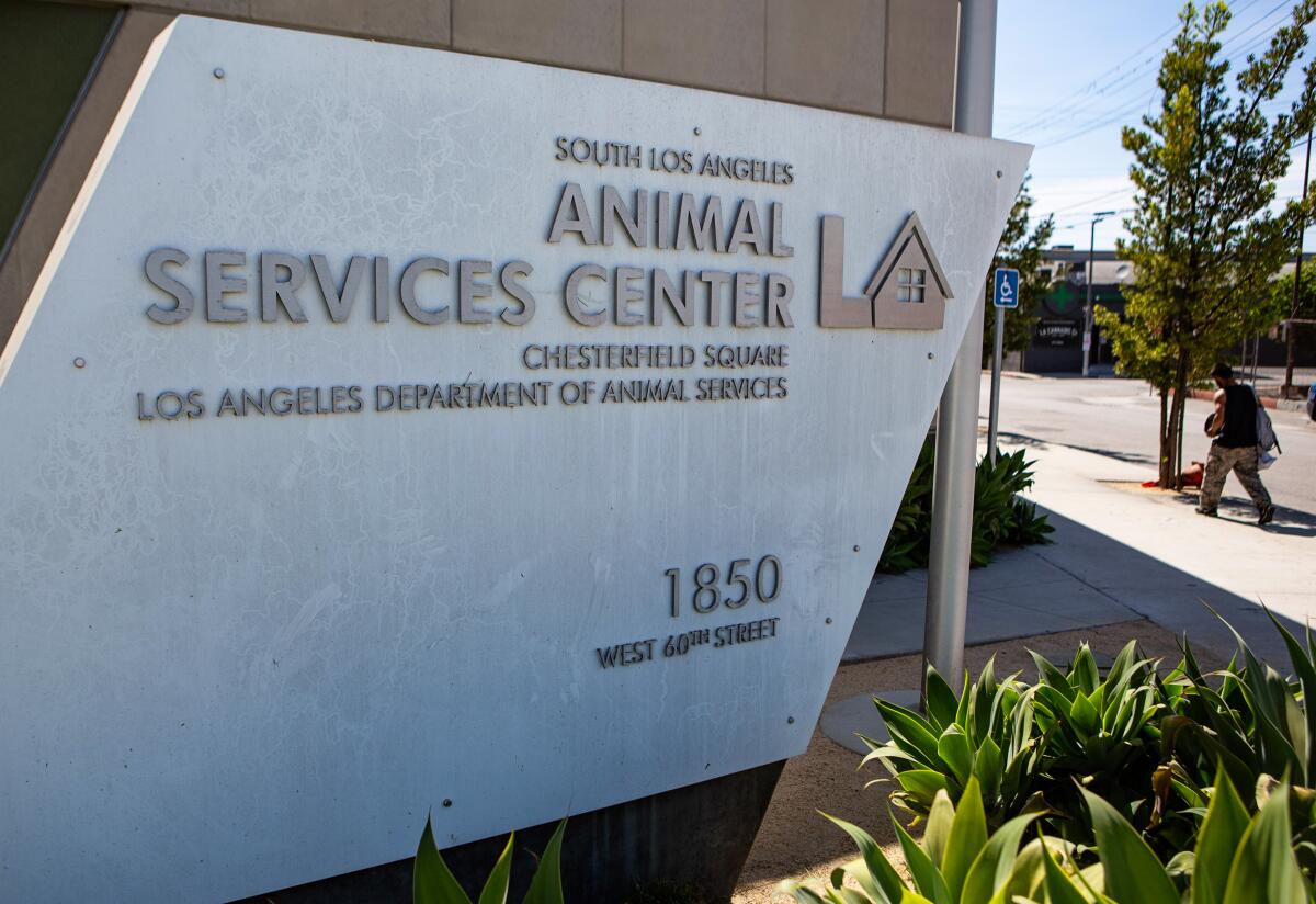 A stylized sign reading "South Los Angeles Animal Services Center/Chesterfield Square" in front of a building
