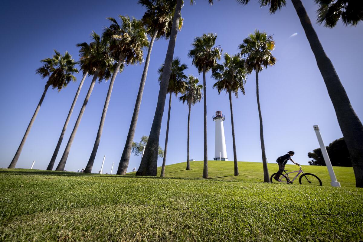 A bicyclist riding downhill past palm trees framing a lighthouse in the background