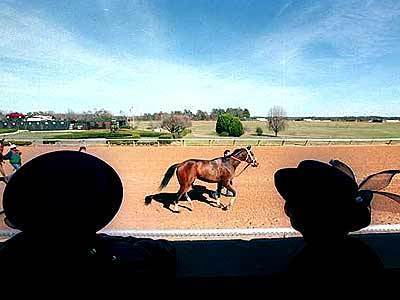 Patrons line the railings of the paddock at Oaklawn Park racetrack to view the thoroughbreds. The Arkansas Derby on April 13 will offer a preview of Kentucky Derby hopefuls.