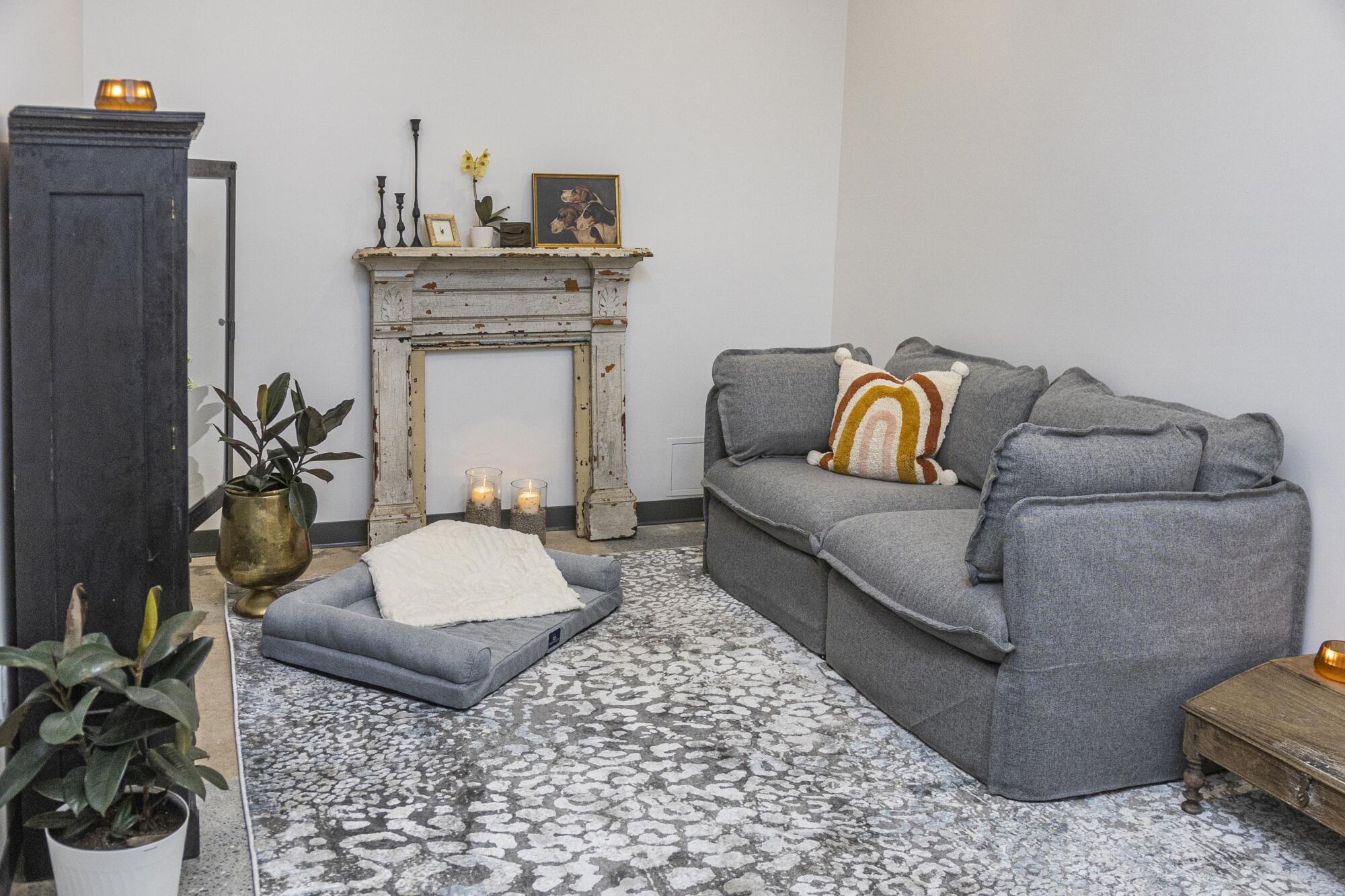 A room with a comfortable-looking grey couch, pet bed, faux fireplace. candles, carpet, pillows and houseplant