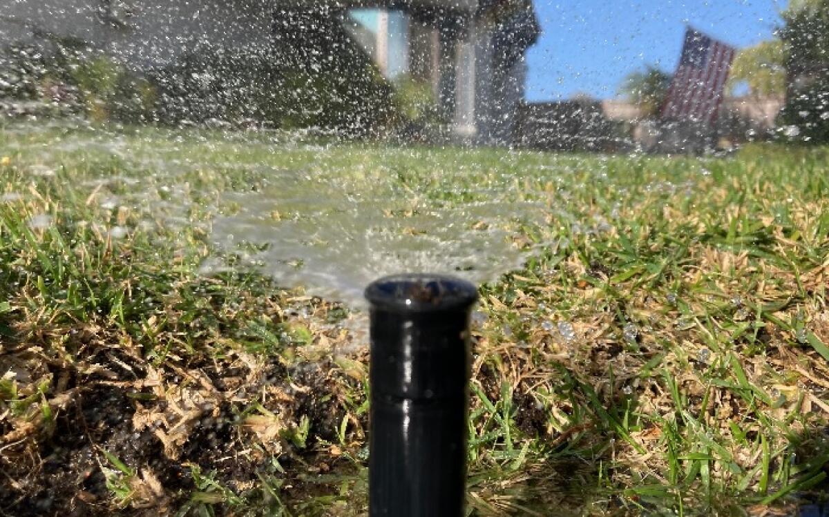 A ground-view closeup of water coming out of a sprinkler head.
