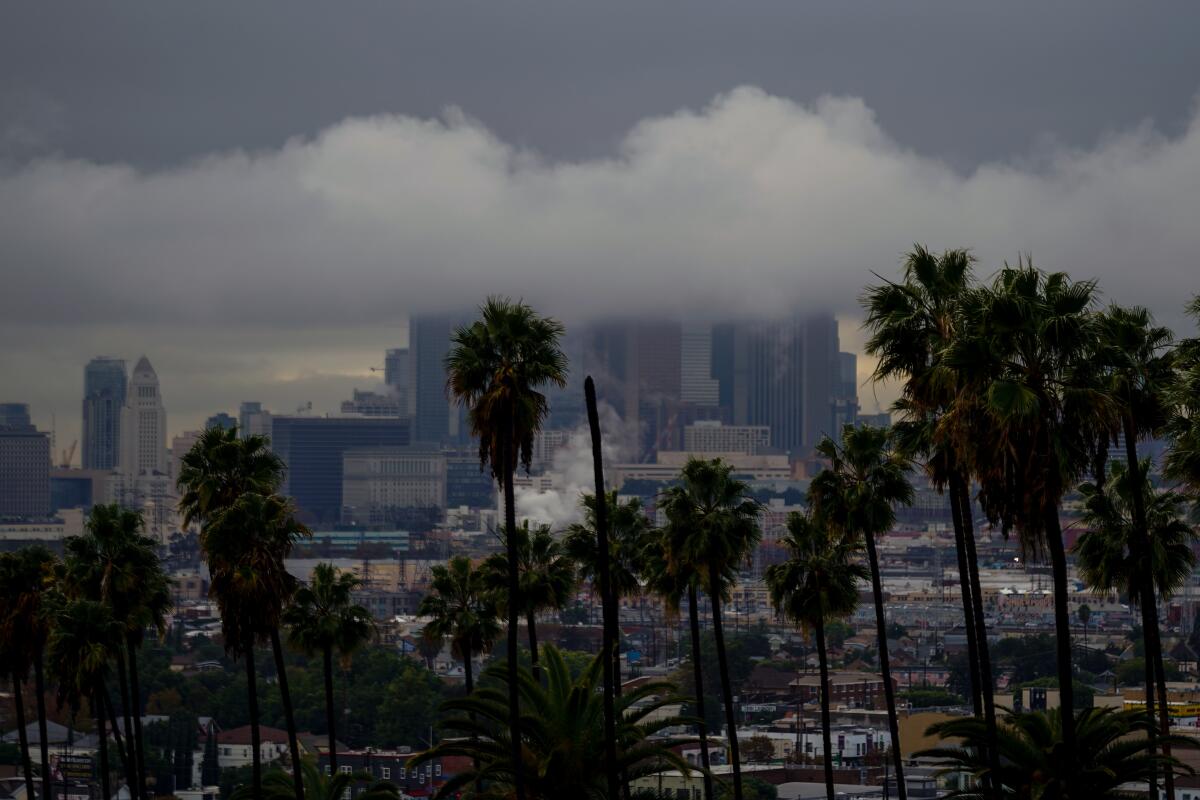 With palm trees in the foreground, an image of the L.A. skyline is obscured by low-hanging clouds.
