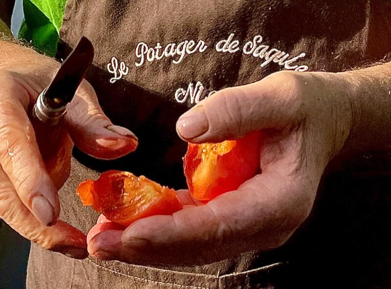 Pierre Magnani of Le Potager de Saquier in Nice, France, cuts a freshly picked persimmon before Rosa Jackson's cooking class.