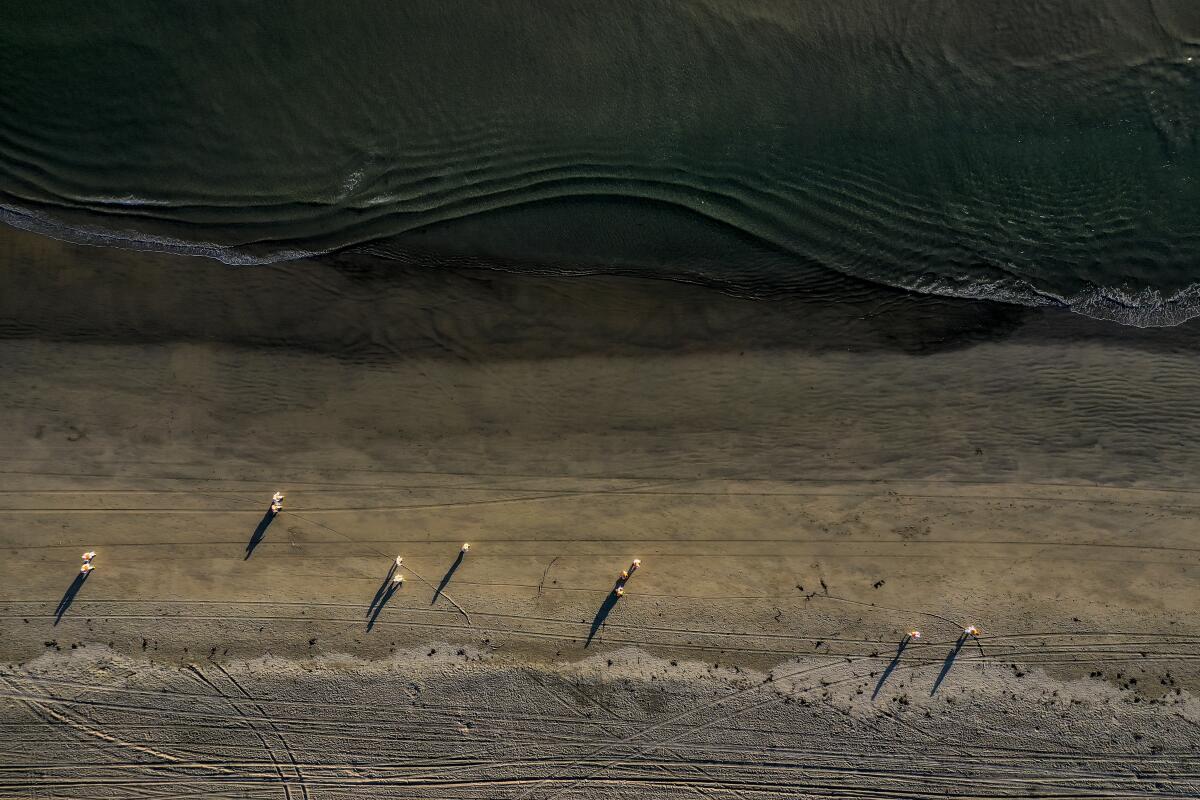 An aerial view of people on a beach