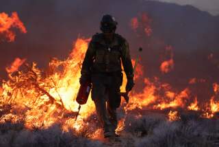 Crane Valley Hotshots set a back fire as the York Fire burns in the Mojave National Preserve on July 30, 2023. The York Fire has burned over 70,000 acres, including Joshua trees and yucca in the Mojave National Preserve, and has crossed the state line from California into Nevada. (Photo by DAVID SWANSON / AFP) (Photo by DAVID SWANSON/AFP via Getty Images)