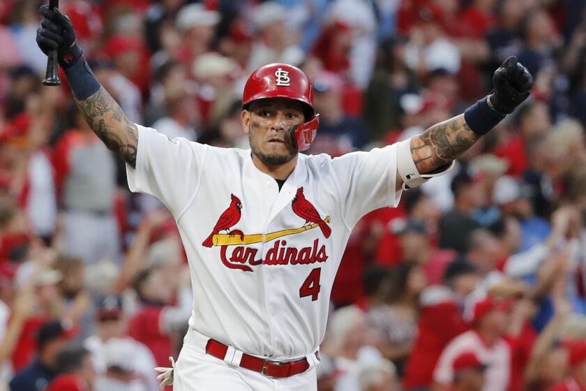 St. Louis Cardinals' Yadier Molina celebrates after hitting a sacrifice fly to score Kolten Wong and defeat the Atlanta Braves in Game 4 of a baseball National League Division Series, Monday, Oct. 7, 2019, in St. Louis. (AP Photo/Jeff Roberson)