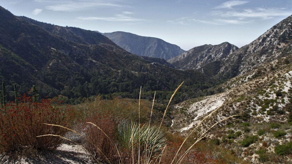 A proposed route for California's high-speed rail would cut through 35 miles of Angeles National Forest.