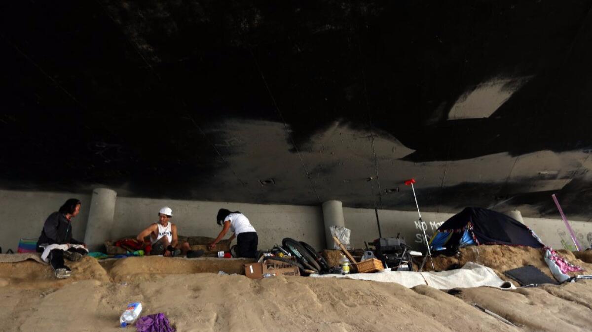 A homeless encampment underneath the 110 Freeway in Harbor City in February.