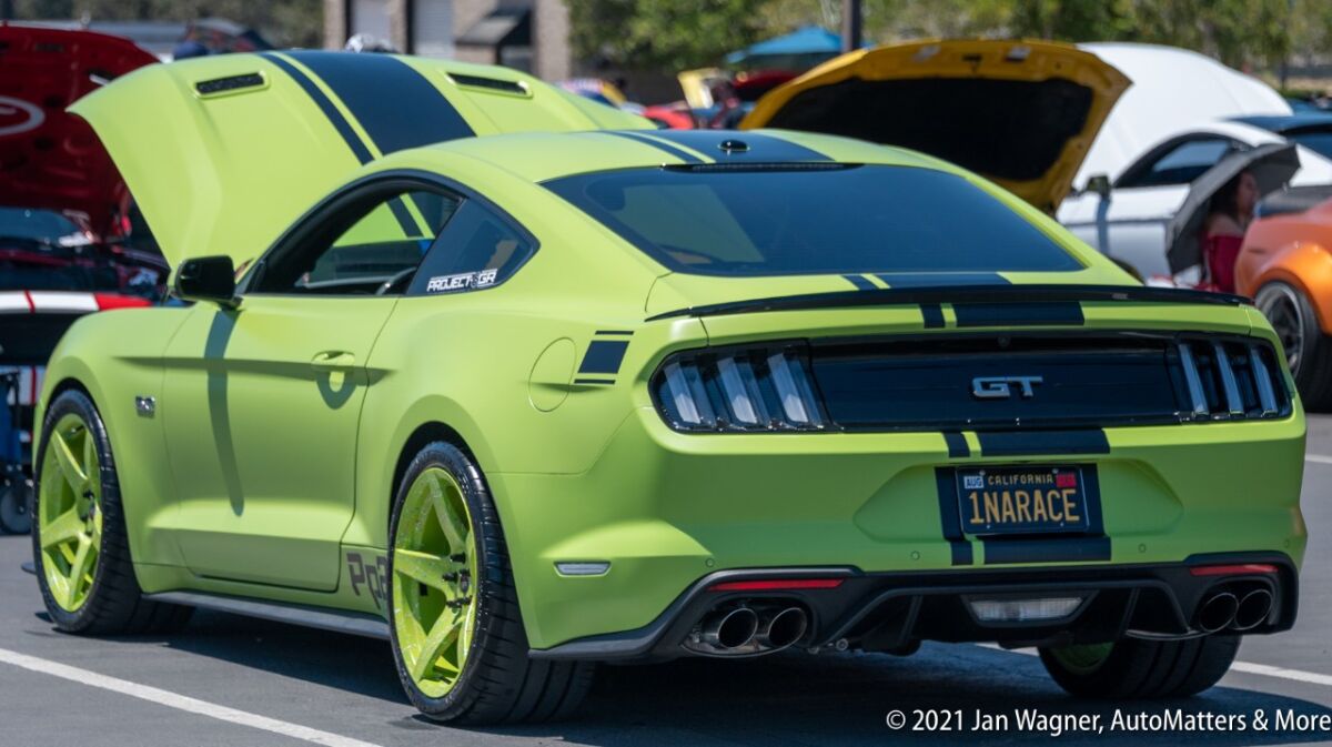 Mustang