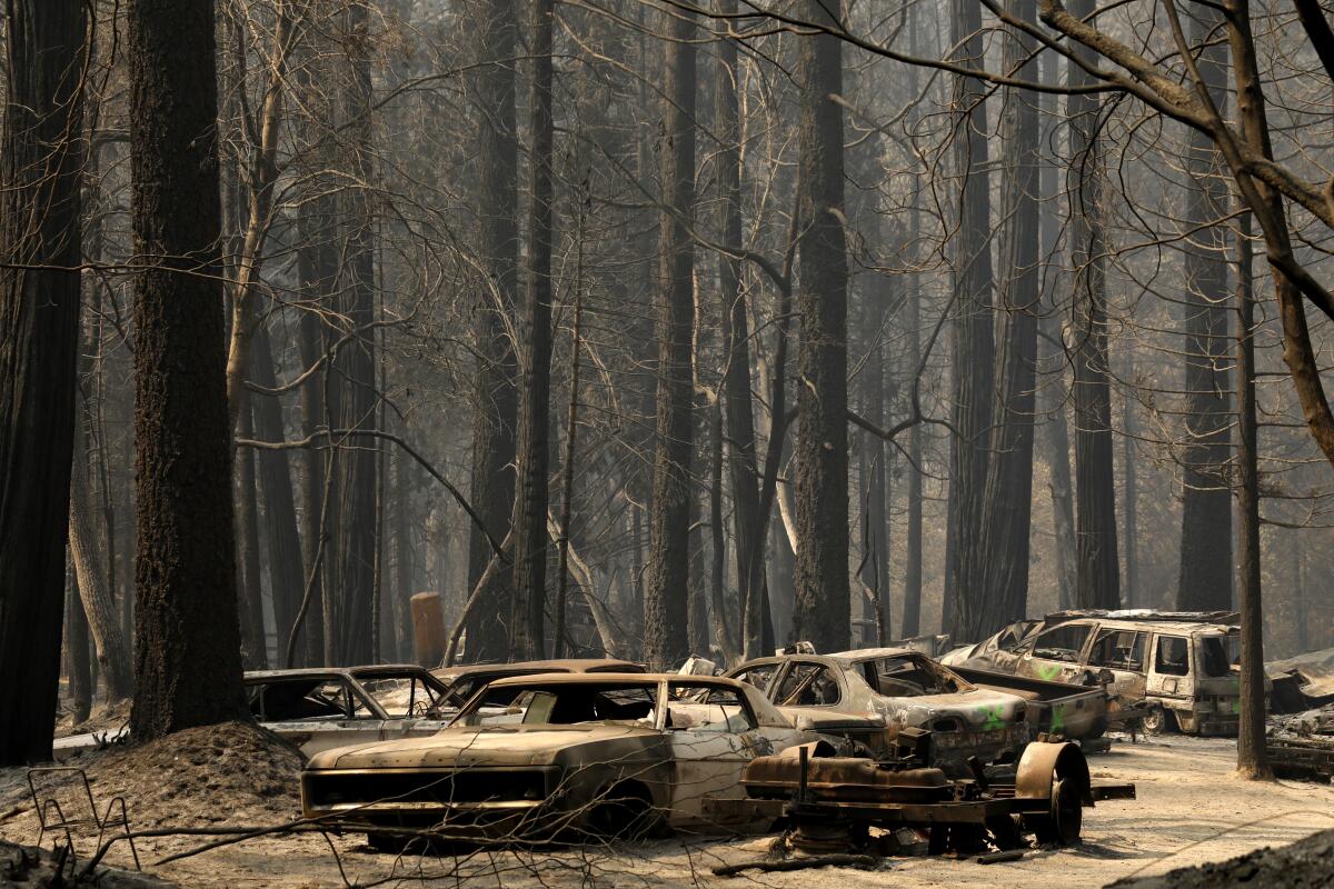 Charred shells of automobiles and bare tree trunks left by the North Complex fire in Berry Creek in early September.