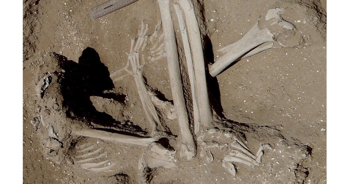 What a 10,000-year-old massacre can tell us about the origins of human violence