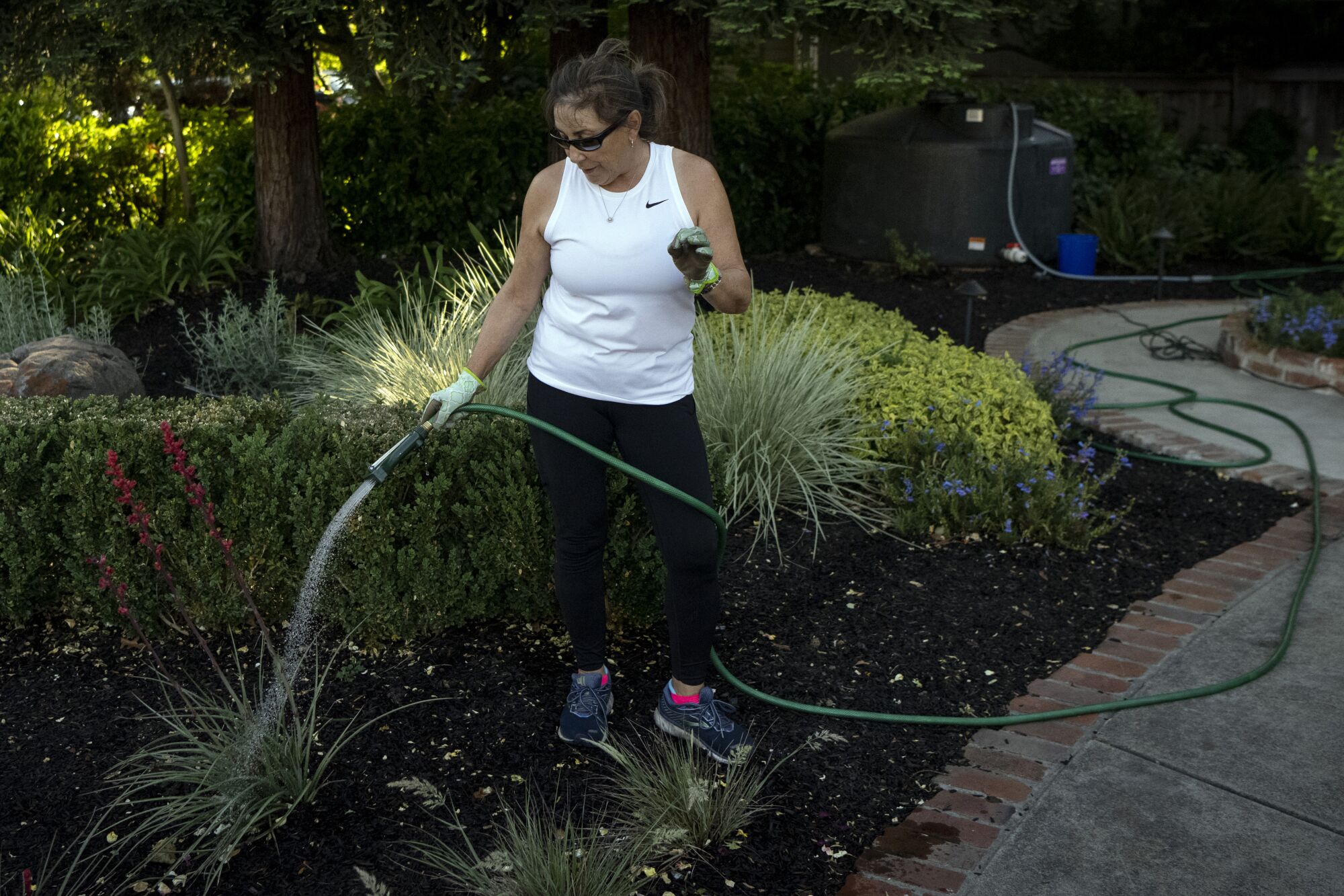 A woman uses a hose to water plants.
