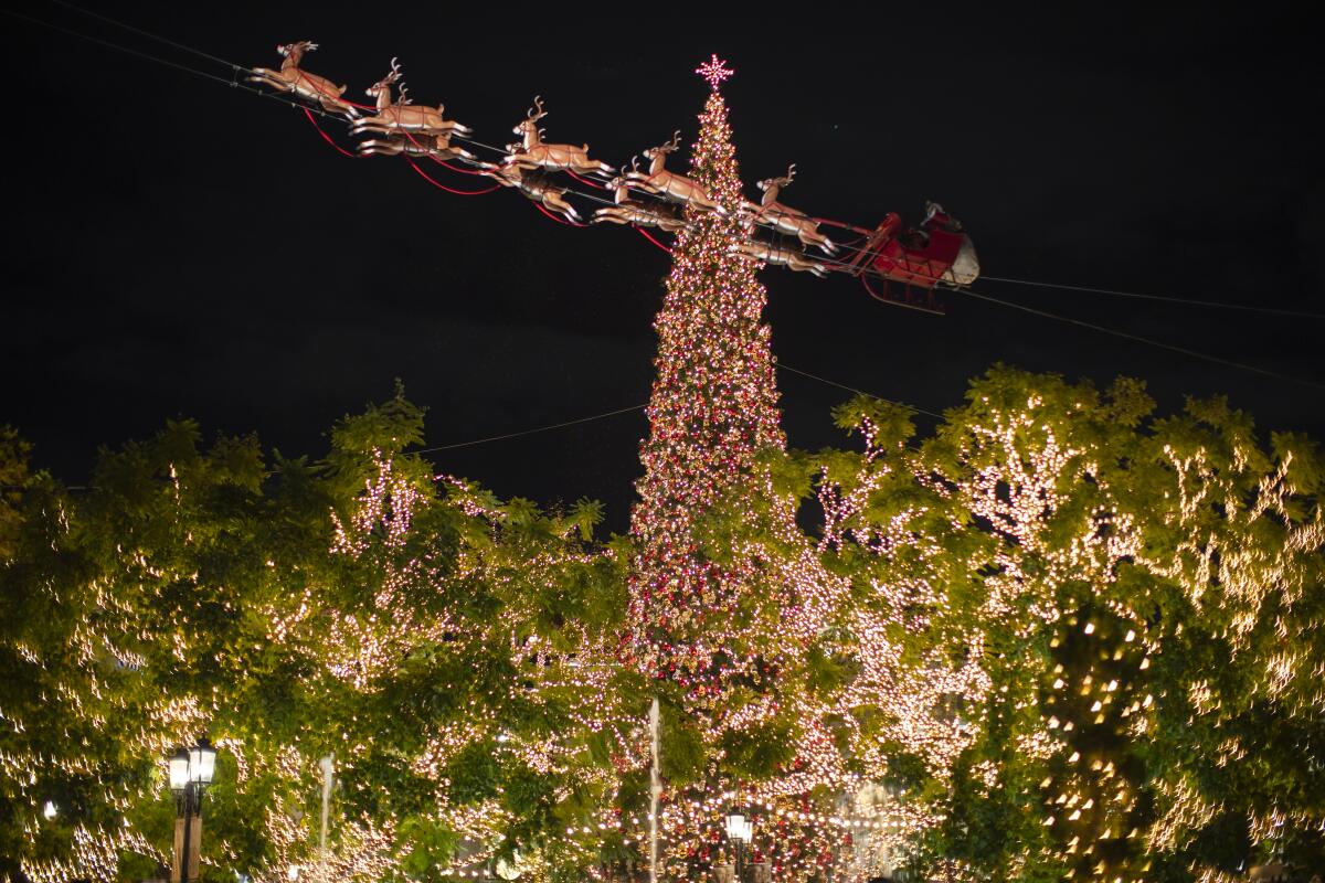 Santa and his reindeer hang on a high wire over the Christmas tree at the Grove, which is a 101-foot-tall white fir.