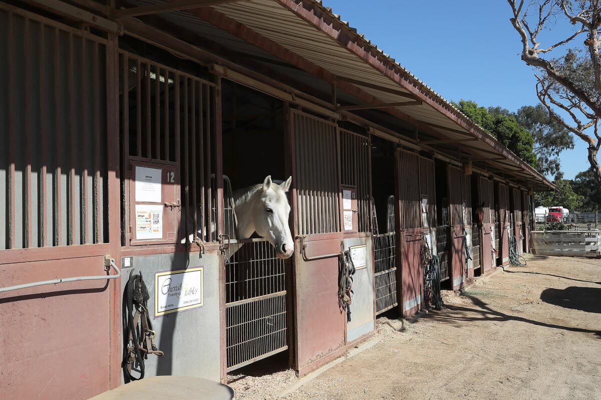 OC Fair & Event Center officials plan to redesign programming at the county fairgrounds' Equestrian Center in Costa Mesa.