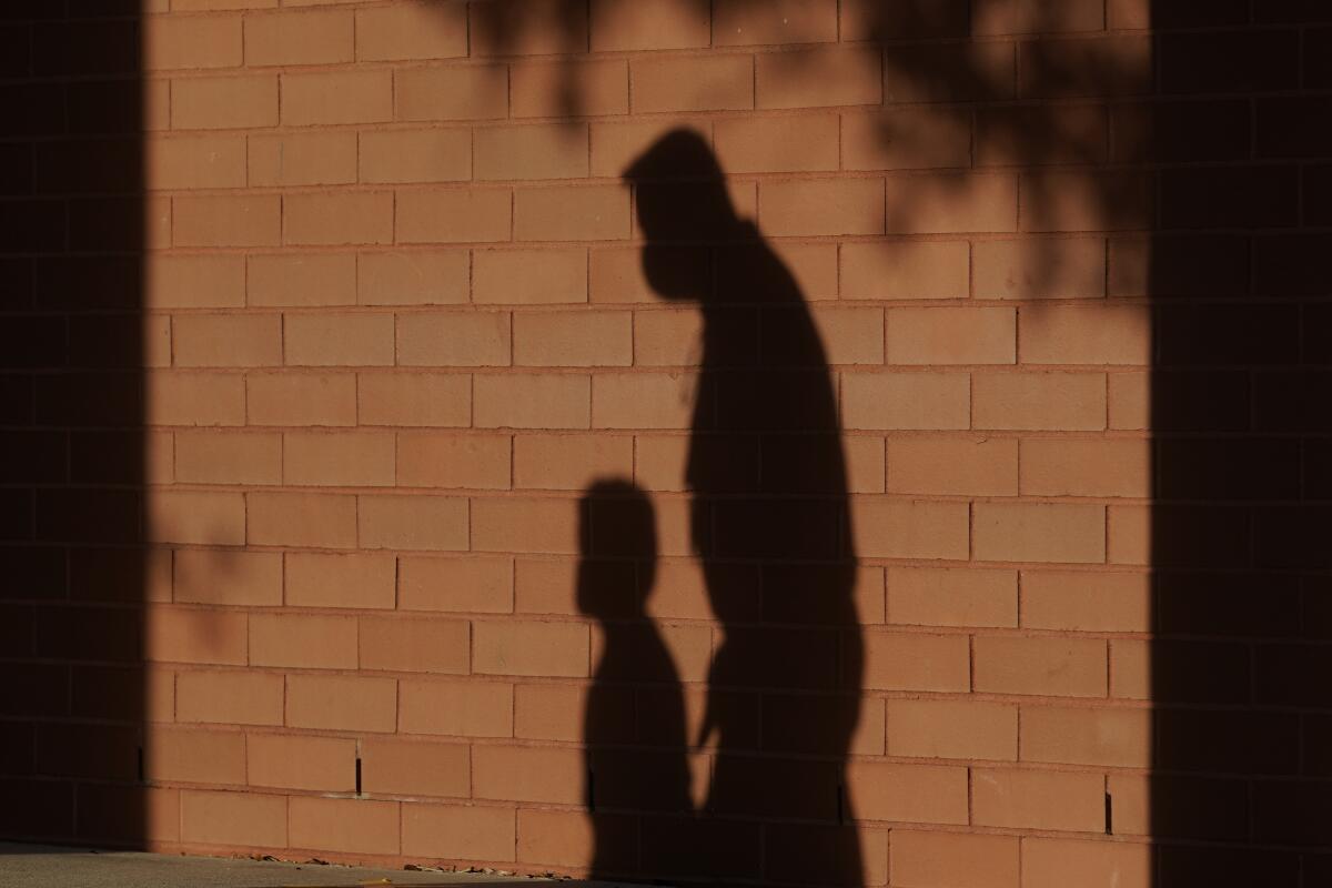 The shadows of an adult walking next to a child are cast on a brick wall.