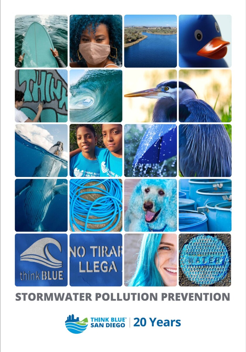 Think Blue San Diego is the education and outreach division of the city’s Stormwater Department.