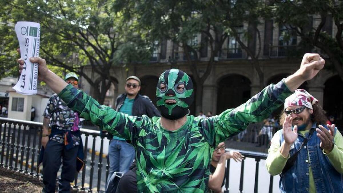 Un partidario de la legalización de la marihuana festeja afuera de la Suprema Corte después de que esta dictaminó para legalizar la marihuana el 4 de noviembre.