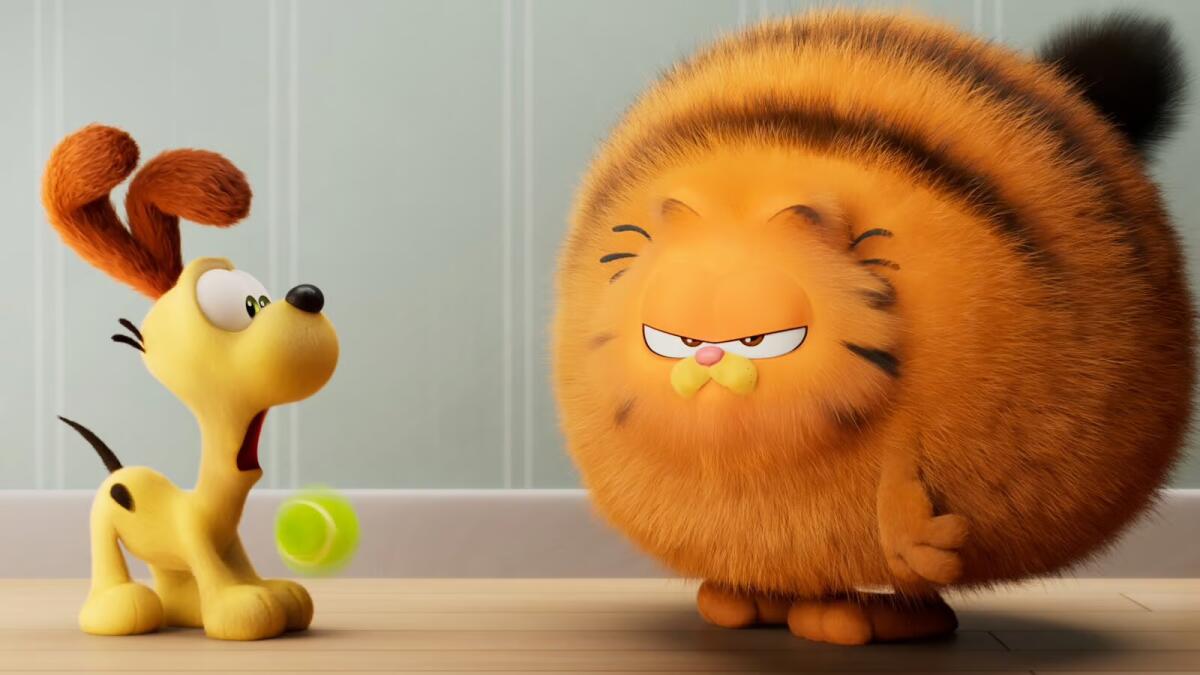 A shocked dog and a puffed-up cat have an confrontation.