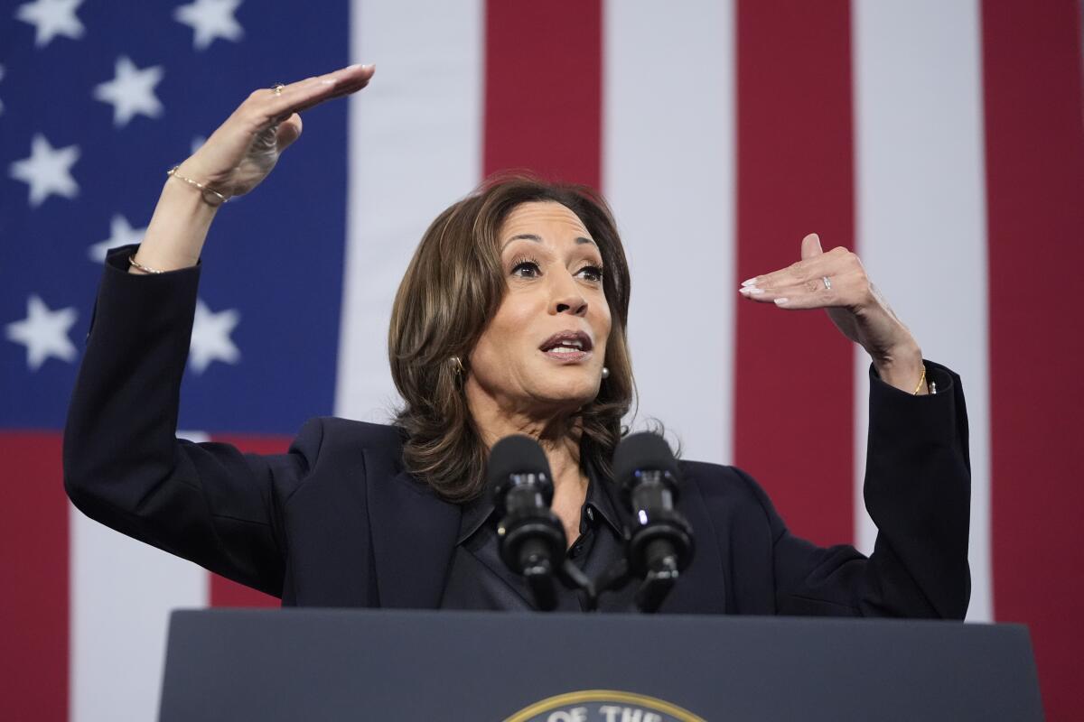 Democratic presidential nominee Vice President Kamala Harris speaks in front of a massive American flag.