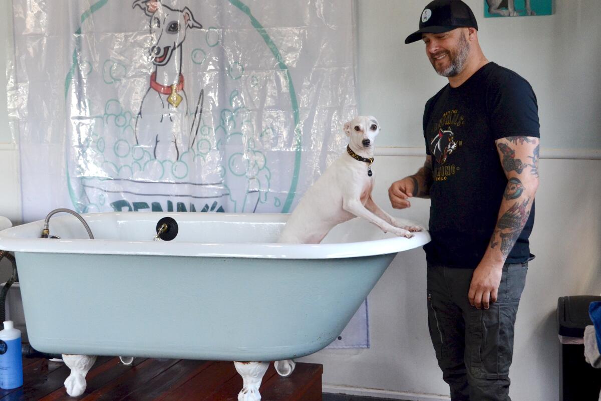 Owner Jason Hassan with Italian greyhound Penny, at Penny's Pup Wash in Costa Mesa.