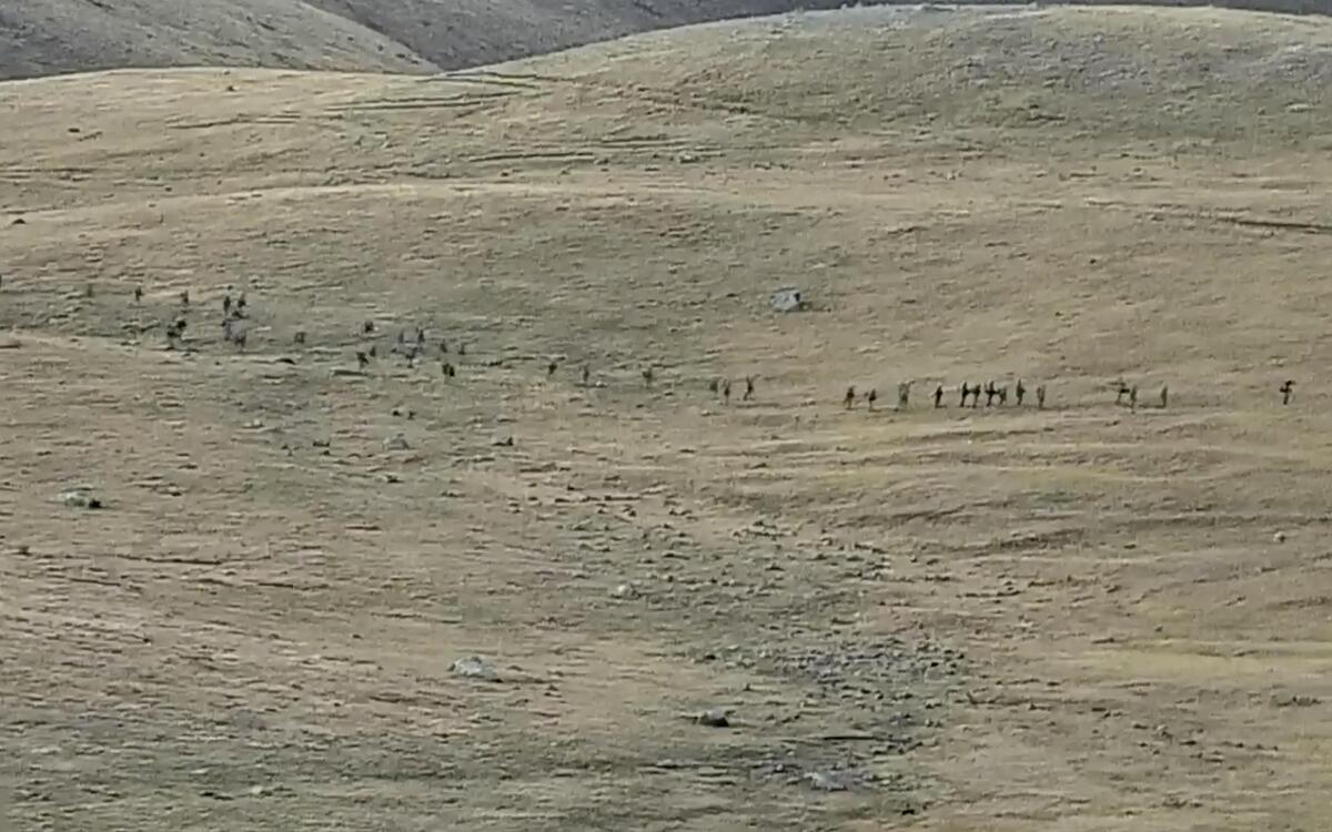 A distant view of people standing in a line stretching across a barren landscape 