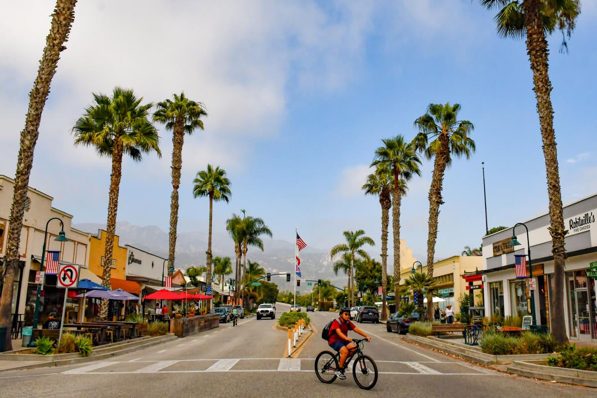 A person rides a bicycle on a palm-tree lined street.