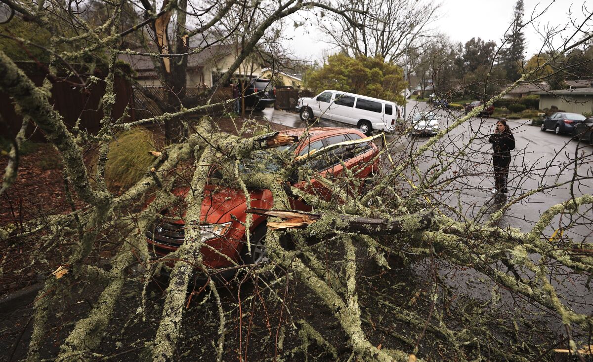 Amber Balog surveys the damage to a friend's car after a tree limb fell on it.