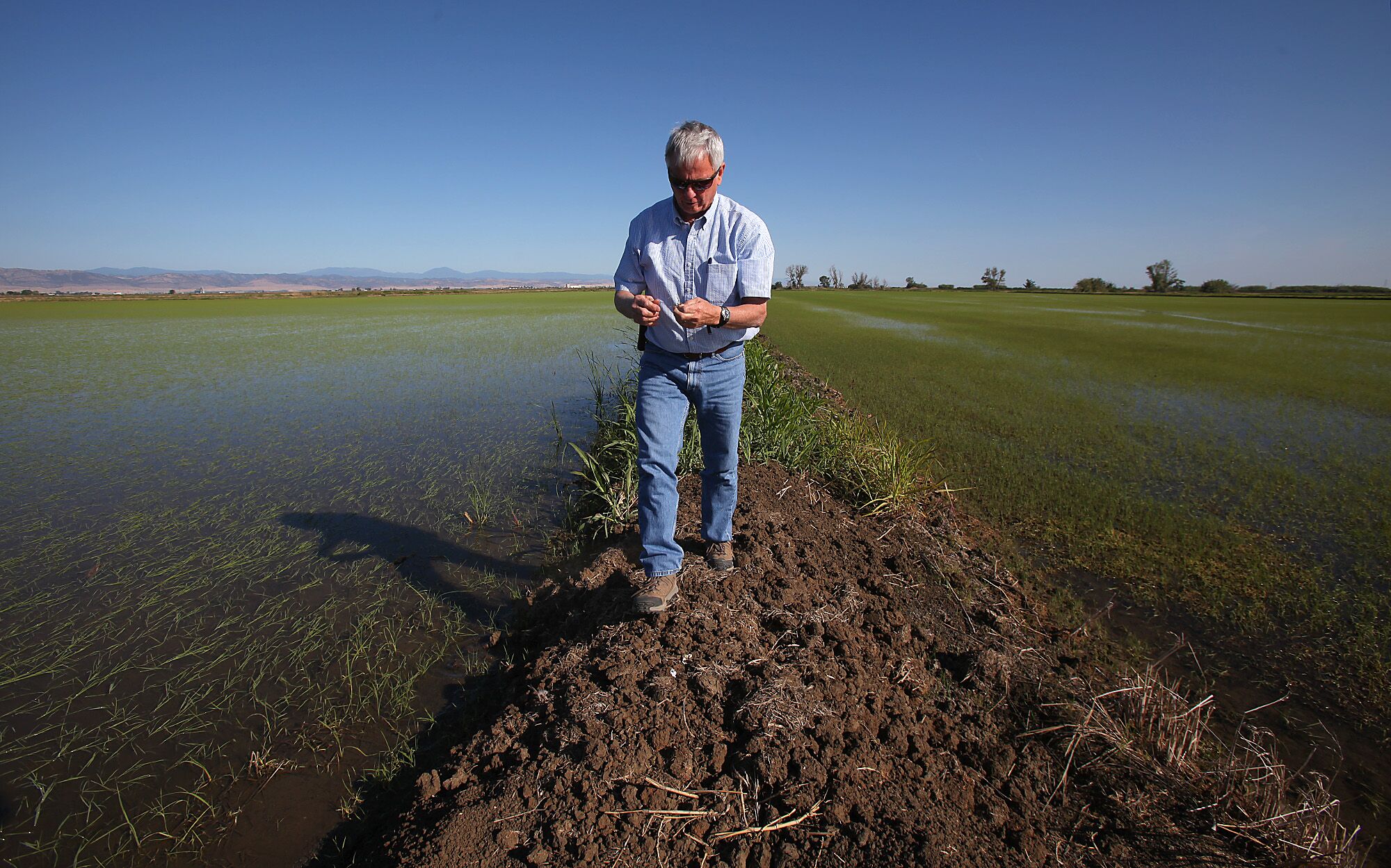 Rice farmer Don Bransford is in the field.