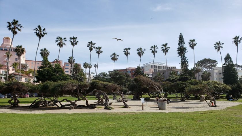 La Jolla has a history of not wanting commercial enterprises in its parks, including Scripps Park.