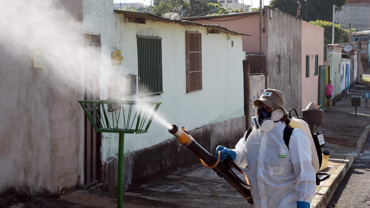 A member of the National Health Foundation fumigates against the Aedes aegypti mosquito in Gama, Brazil, in February.
